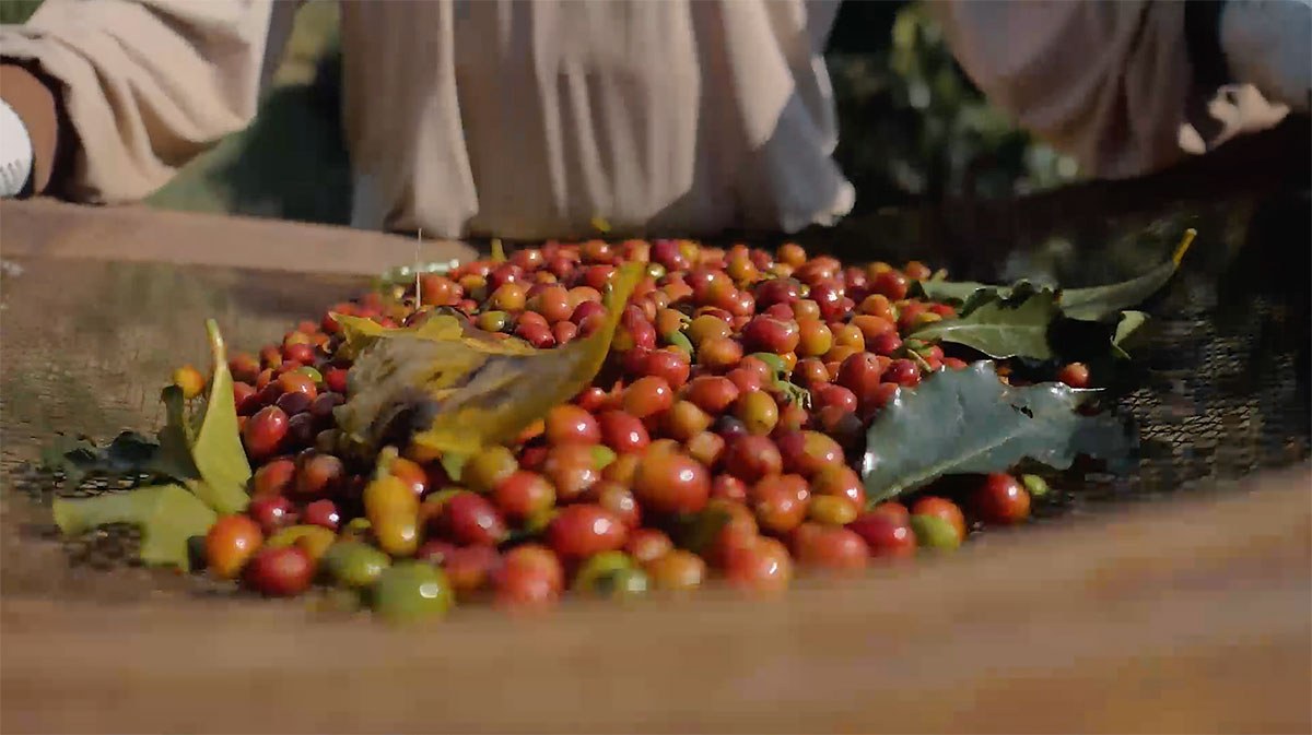 30 Jahre Fairtrade in Österreich: Bester Kaffeegenuss mit bestem Gewissen